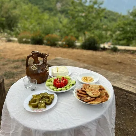 Nikaj Zajazd *