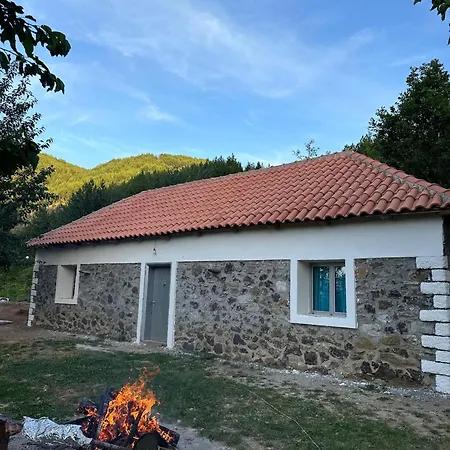 Zajazd Nikaj *