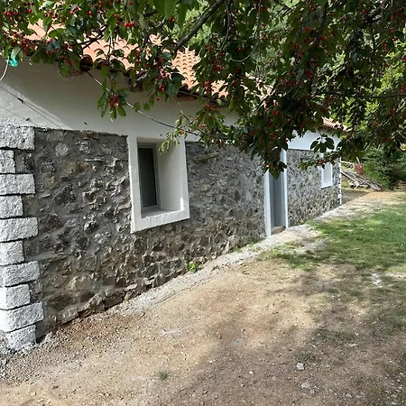 Nikaj * Koman